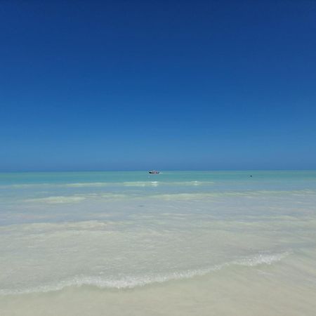 Luna Y Sol Glamping Holbox Exteriör bild