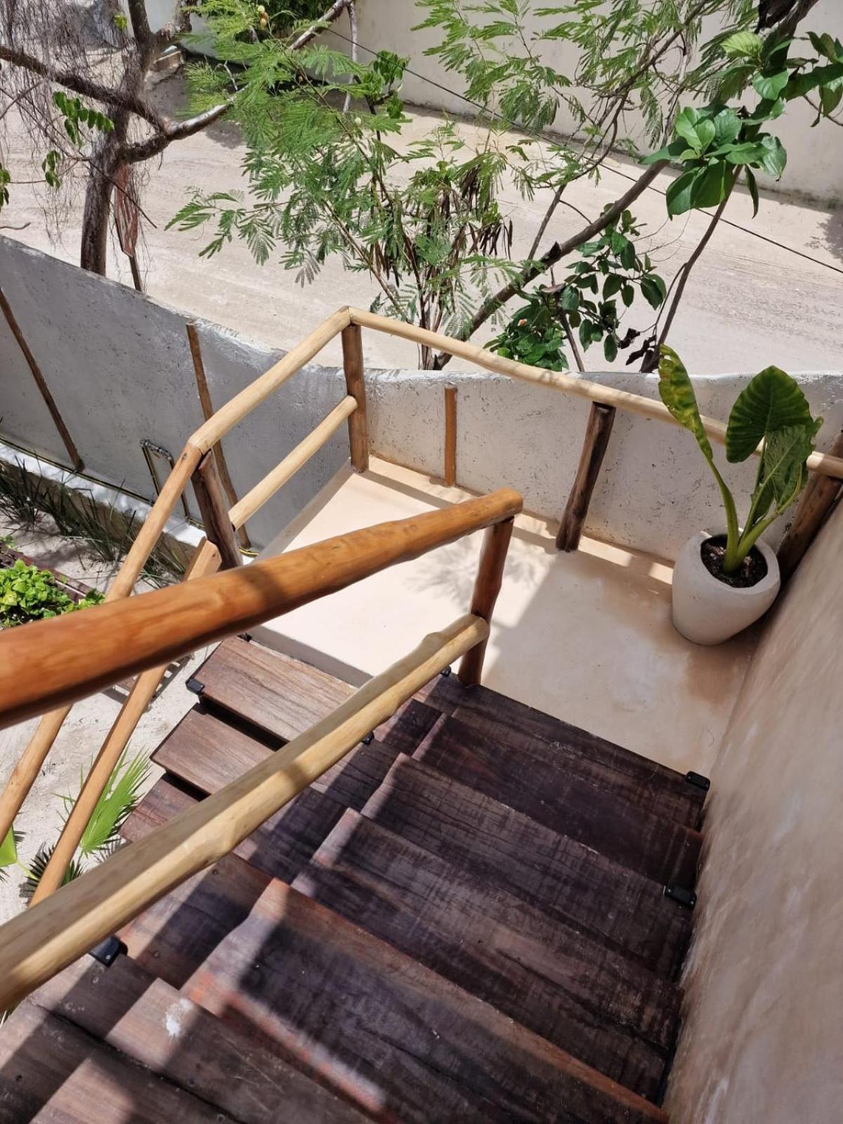 Luna Y Sol Glamping Holbox Exteriör bild