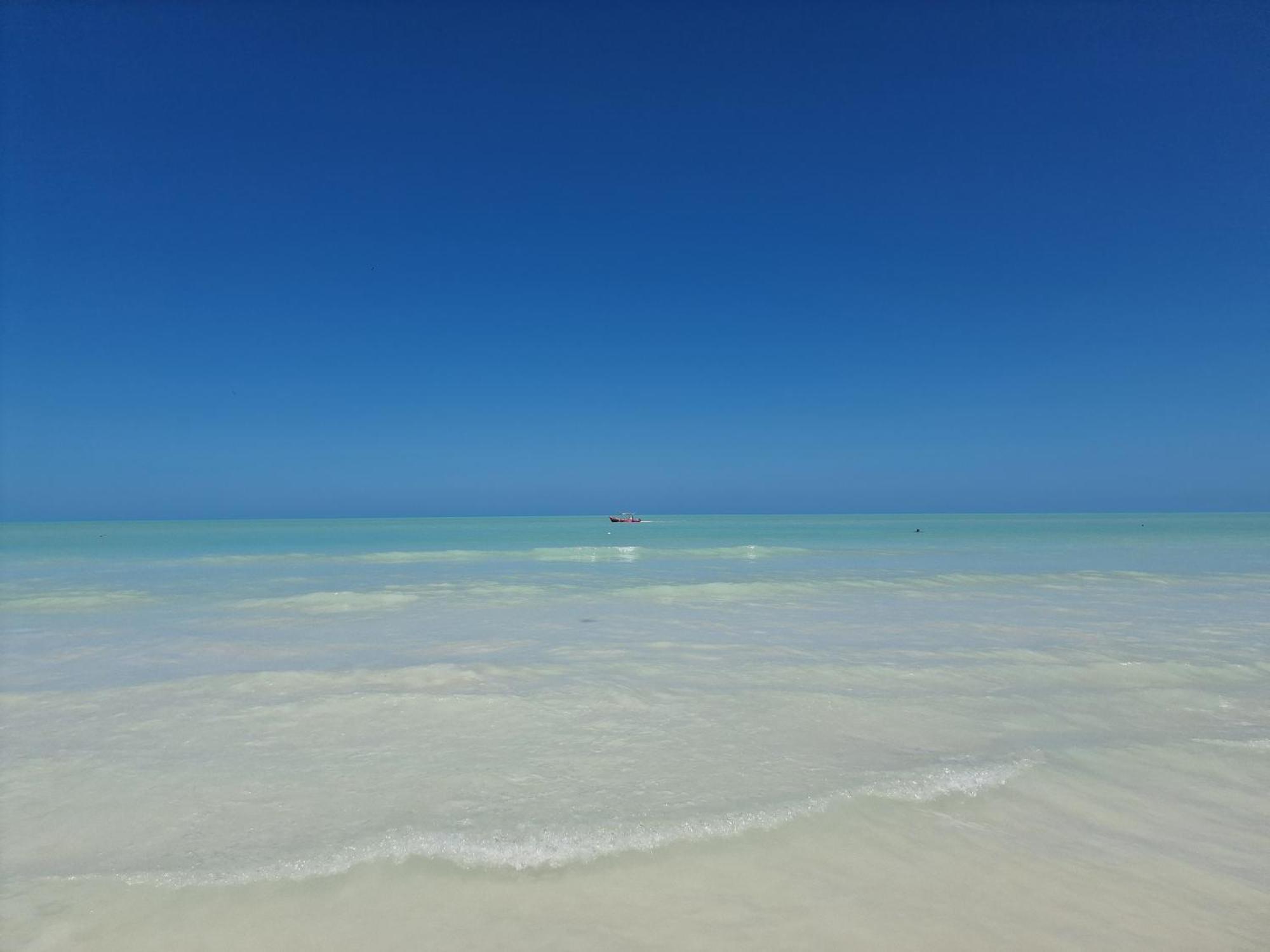 Luna Y Sol Glamping Holbox Exteriör bild