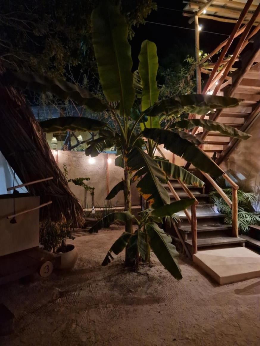 Luna Y Sol Glamping Holbox Exteriör bild